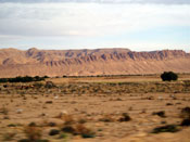 Tunisie-&copy;P.-Mondielli