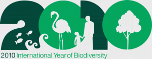 iyb2010_logo_english